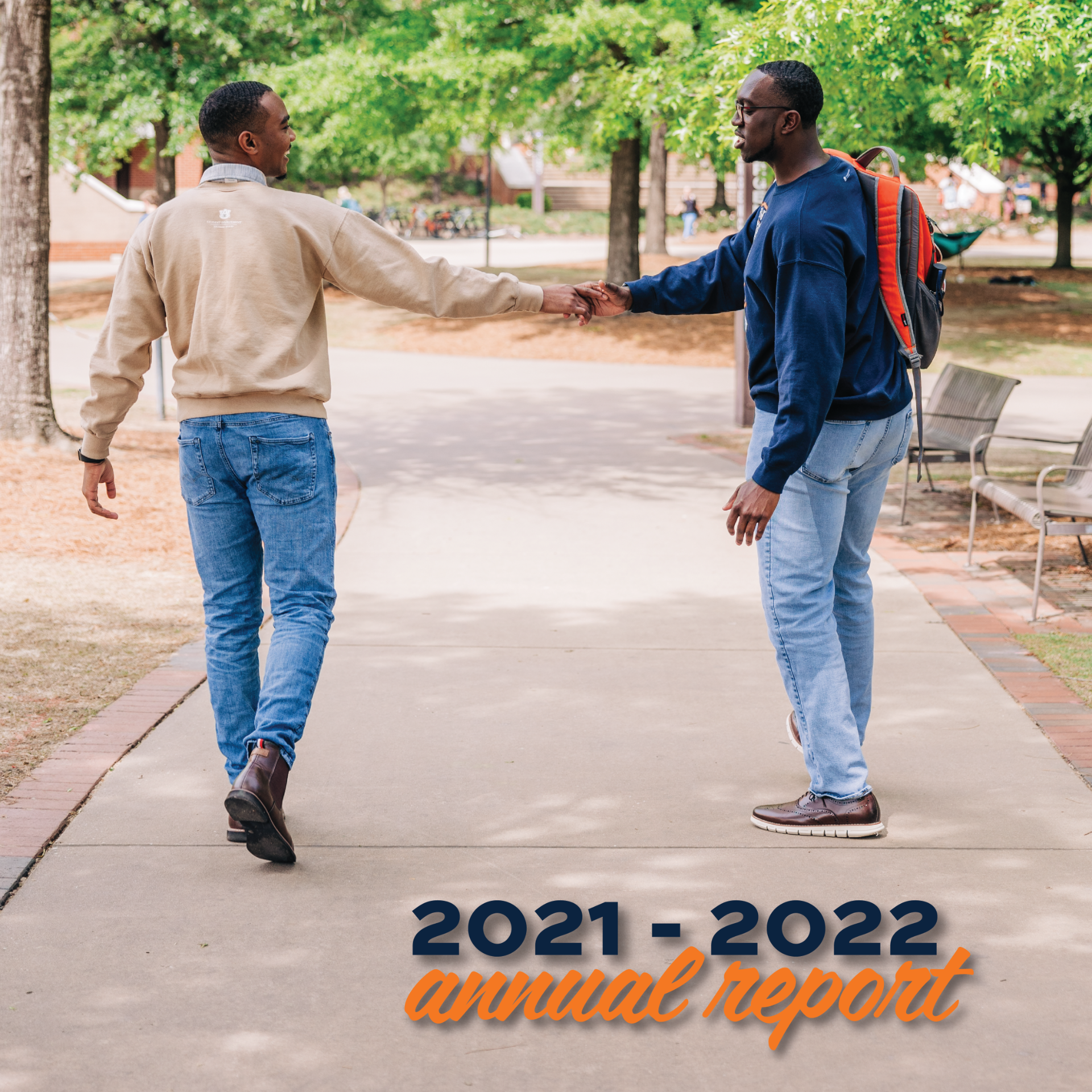 2019-2020 Annual Report Icon